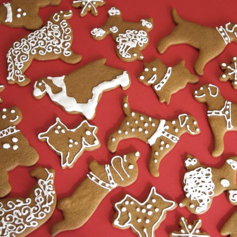 Shaped Christmas Cookies, Gingerbread Treats, Pets Wallpaper, Christmas Dog Treats, Treats Christmas, Greenfield Puppies, Diy Dog Treats, Exotic Animals, Birthday Treats