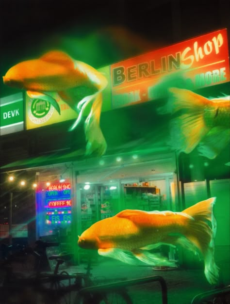 Hong Kong Film Aesthetic, Orange And Green Aesthetic Vintage, Wong Kar Wai Wallpaper, Fish Photoshoot, Hongkong Aesthetic, Fish Tank Aesthetic, Goldfish Aesthetic, Aesthetic Fish, Wong Kar Wai