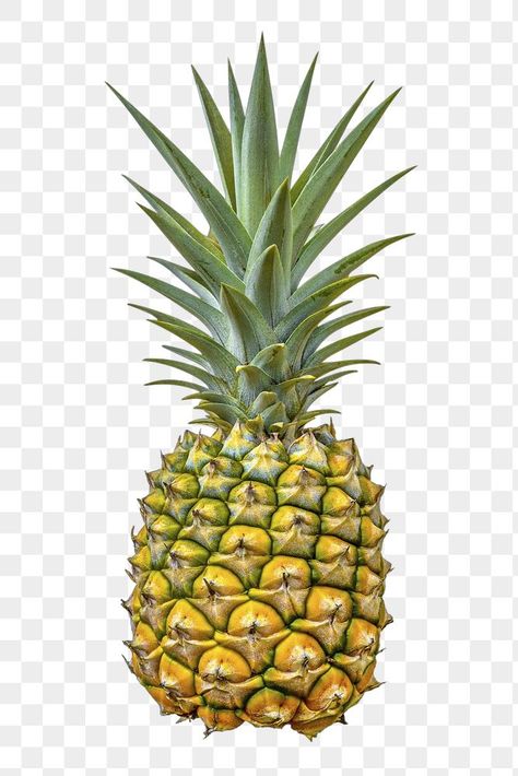 Picture Of Pineapple, Fish Outline, Clown Pics, Fruit Png, Graphic Design Newspaper, Web Design Typography, Birthday Cake With Photo, Graphic Design School, Fruit Fruit