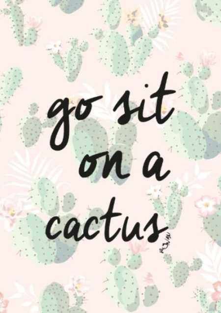 Go Sit On A Cactus, Sit On A Cactus, Funny Quotes Sarcasm, Passive Aggressive, Sassy Quotes, E Card, Sarcastic Quotes, Instagram Captions, Bones Funny