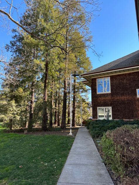 wood shingled building next to redwood trees on uc davis campus Uc Davis Campus Aesthetic, Uc Davis Campus, Uc Davis Aesthetic, Davis Aesthetic, Romanticizing College, Uni Aesthetic, Campus Aesthetic, Davis California, College Apps