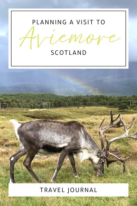 Visiting the Cairngorm Reindeer Herd & Quad Bike Trekking in Aviemore - plus a visit to Cawdor Castle Aviemore Scotland, Scotland Travel Guide, South Of England, Unsolved Mystery, Cairngorms National Park, Jurassic Coast, Travel Tops, Quad Bike, Road Trip Hacks