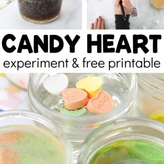 Science | Fun-A-Day! Candy Heart Experiment, Emergent Literacy Activities, Heart Experiment, Fun Ideas At Home, Valentine Science Experiments, Little Red Hen Activities, Valentine Science, Catapult For Kids, Preschool Zoo Theme