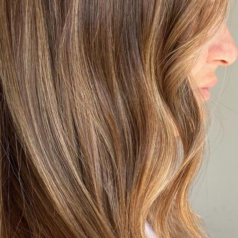 Salted Caramel Hair, Carmel Hair Color, Blonde And Brunette, Salted Carmel, Caramel Hair, New Hair Colors, Hair Color Trends, Salted Caramel, Hair Colors