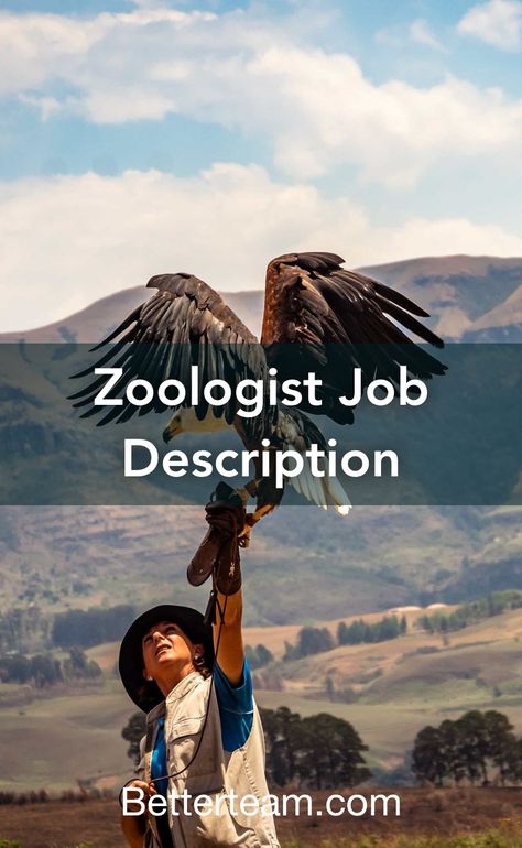 Learn about the key requirements, duties, responsibilities, and skills that should be in a Zoologist Job Description. Zoologist Career, Zoology Career, Animal Science Major, Job Description Template, Scientific Journal, Animal Conservation, Animal Science, Interpersonal Skills, Future Career