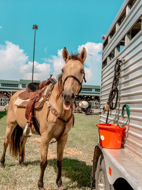 Barrel horse
Barrel racing 
Barrel racer
Rodeo
Buckskin 
Cowboy 
Cow horse
Cowgirl
Youth worlds
NBHA Rodeo Horses Barrels, Barrel Racing Aesthetic, Horse Barrel Racing, Barrel Racing Tack Rodeo, Barrel Train, Horsey Life, Buckskin Horse, Dream Horse Barns, Cow Horse