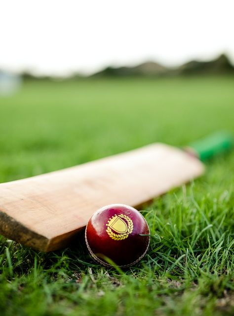 Cricket bat and ball on green grass | premium image by rawpixel.com / Felix Cricket Dp, Cricket Bat And Ball, Cricket Images, Sports Aesthetics, History Of Cricket, Minion Card, Cricket Game, Cricket Logo, About Cricket