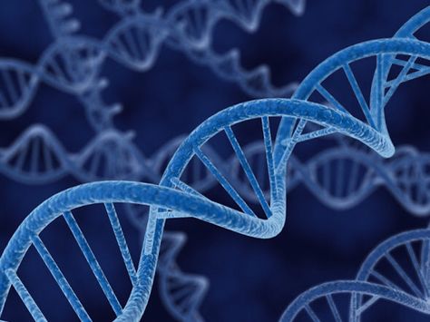 Example of Nucleic acid: DNA Genome Sequencing, Return Of Kings, Fertility Doctor, Bizarre Facts, Nucleic Acid, Dna Repair, Vet Med, Molecular Structure, Genetic Testing