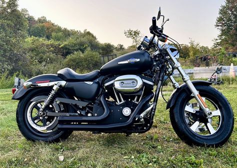 2012 Harley-Davidson® XL1200CP Sportster® 1200 Custom - H-D1 Factory Custom for Sale in SALEM, NY (Item 1303002) Harley Davidson Sportster 1200, 1200 Custom, Custom Sportster, Sportster 1200, Custom Chopper, New Harley Davidson, Custom Harleys, Harley Davidson Motorcycle, Harley Davidson Sportster