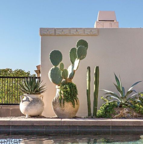 Large Cactus Pot Ideas, Zen Backyard Ideas, Arizona Flower, Palm Springs Garden, Zen Backyard, Desert Landscaping Backyard, Country Garden Decor, Modern Backyard Landscaping, Outdoor Path Lighting