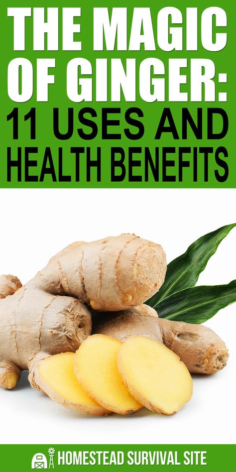 Vegetables Pizza, Ginger Uses, Herbal Oils, Tea For Colds, Benefits Of Ginger, Anti Inflamatory, Growing Ginger, Health Benefits Of Ginger, Evaluation Form