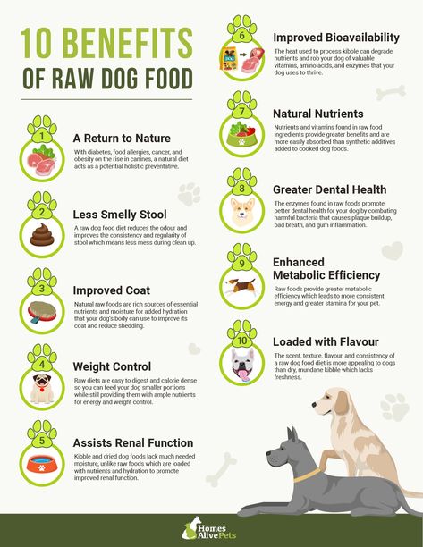 A Guide to Feeding Raw Bones For Dogs Dog Barf Diet, Raw Dog Food Diet For Beginners, Raw Food Diet For Dogs Beginner, Dog Raw Food Diet For Beginners, Raw Dog Food Recipes For Beginners, Diy Raw Dog Food, Raw Food Diet For Dogs, Food Rolls, Dog Diet Plan