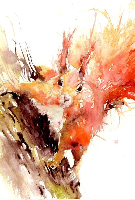 Squirrel Art, Squirrel Print, Watercolor Red, Red Squirrel, Dog Wall Art, Owl Print, A2 Size, Watercolour Paper, Floral Prints Art