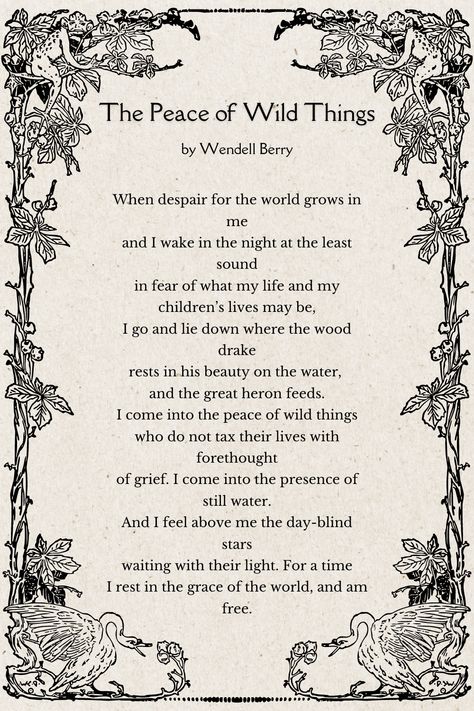 Poem by Wendell Berry The Peace Of Wild Things Wendell Berry, The Peace Of Wild Things, Wendell Berry Poems, Peace Of Wild Things, Wendell Berry, Stream Of Consciousness, Poems Beautiful, Poetry Collection, Wild Things