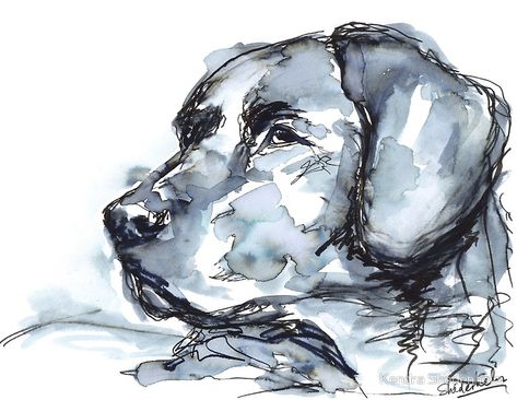 Labrador Retriever, Watercolor Portrait. Copyright 2018 Kendra Shedenhelm #labradorretriever #labrador #gifts #doglovers #blacklab #lab #dog #art #retriever #painting #watercolor #watercolour #shedenhelm Black Lab Watercolor Paintings, Black Labrador Watercolour, Black Labrador Watercolor Painting, Labrador Watercolor Painting, Watercolor Black Labrador, Watercolour Dog Portrait, Watercolour Dog Simple, Watercolour Labrador, Labrador Sketch