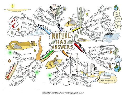 Nature Has Answers Mind Map created by Paul Foreman. The Mind Map will help you to consider ideas among nature that may transfer and be adopted into human life. The Mind Map breaks down possibilities such as utilizing condensation for water catchment in the same way as Mexican Cacti. In addition the mind map looks at raising awareness and observation of potential new combinations of uses and similarities. Mind Map Examples, Creative Mind Map, Mind Map Art, Map Inspiration, Water Catchment, Mind Map Design, Sketchbook Layout, Water Watch, Mind Maps