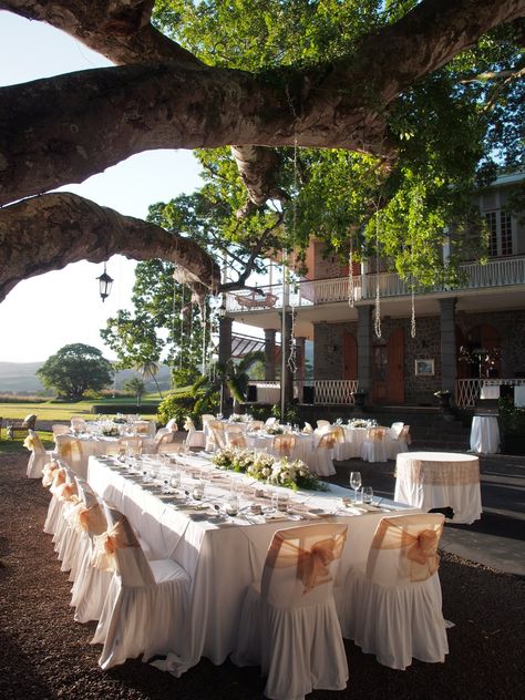 Wedding reception in the gardens of Le Chateau de Bel Ombre at Heritage Resorts #Mauritius. Mauritian Wedding, Mauritius Wedding, Heritage Wedding, Le Chateau, Wedding Idea, Wedding Plans, Dream Board, Royal Wedding, Mauritius