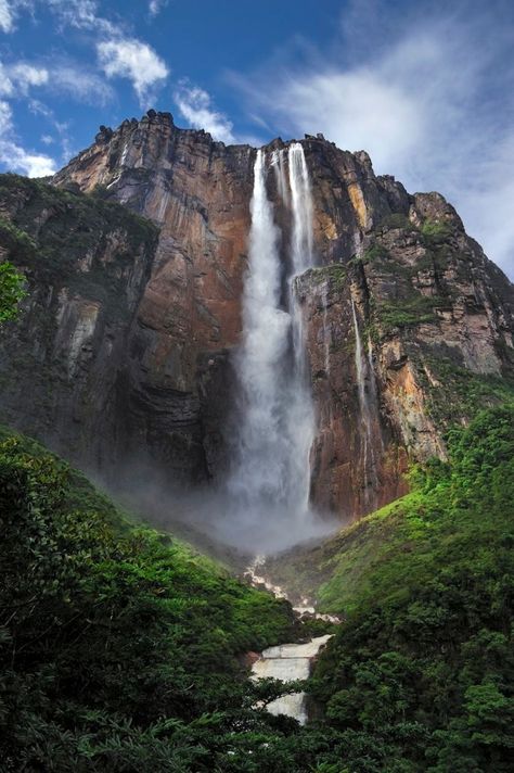 Parque Nacional Canaima: considerado Patrimonio de la Humanidad por la UNESCO, el Salto Ángel en Venezuela es el salto de agua más alto del mundo (979 metros). Angel Falls Venezuela, Monte Roraima, Angel Falls, Paradise Falls, Waterfall Pictures, America Latina, Beautiful Places On Earth, South America Travel, Beautiful Waterfalls