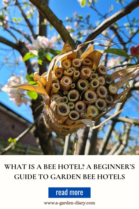 Discover the world of bee hotels and learn how these charming garden additions provide essential shelter for solitary bees. Unlike honeybees, solitary bees don’t live in hives. A bee hotel gives them a safe place to nest, pollinate and thrive in your garden. Perfect for attracting gentle pollinators that enhance plant growth, this beginner’s guide covers all you need to know about creating a cozy bee habitat. Find out how  bee hotel can transform your garden into a buzzing haven of biodiversity! Bee Habitat, Bee Hotels, Bee Conservation, Types Of Bees, Bee Friendly Garden, Bee Hotel, Solitary Bees, Garden Diary, Charming Garden