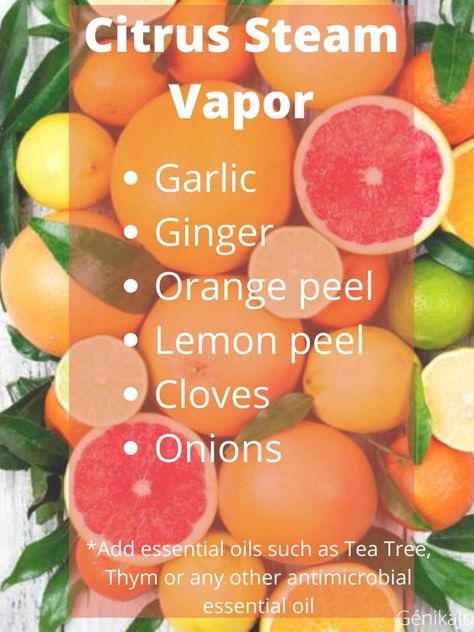 DIY Citrus Respiratory Steam Recipe – Génika Jo Icon Color Palette, New Food Ideas, Home Apothecary, Steam Recipes, Body Tips, Sinus Congestion, Bath Tea, Cleanse Detox, Home Health Remedies