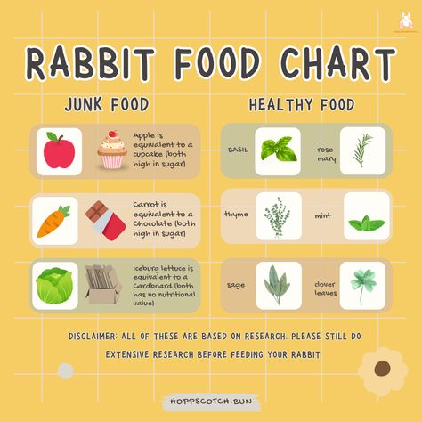 What Do Bunnies Eat, Rabbit Food List, Rabbit Health, Bunny Care Tips, Rabbit Recipes, Sugar Carrots, Bunny Food, 4h Projects, Rabbit Diet