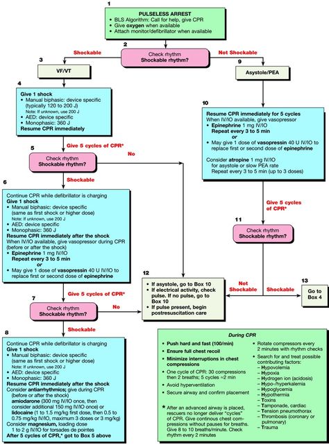 Pulseless arrest. Newborn Resuscitation, Pals Algorithm, Nursing Cardiac, Acls Algorithm, Ekg Technician, Nursing Certifications, Paramedic Quotes, Paramedic School, Heart Stuff