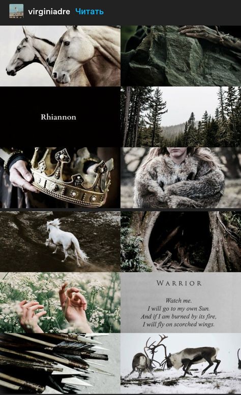 Rhiannon Aesthetic, Rhiannon Goddess, Goddess Rhiannon, Celtic Goddess, Celtic Mythology, Fairy Queen, Fantasy Story, Season Of The Witch, Witch