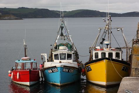 Harbour Photography, Chinese Boat, Trawler Boats, Nautical Aesthetic, Boat Pics, Old Boats, Boat Art, Boat Painting, Tug Boats