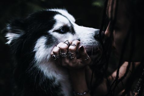 Bohemian Grunge, Werewolf Aesthetic, Wolves And Women, Wolf Love, Wild Wolf, Grunge Goth, Wolf Art, Fantasy Aesthetic, Spirit Animal