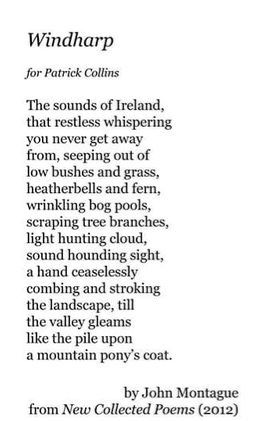 Windharp. Tells the story of the Irish countryside. This vivid imagery stood out to me while reading it in Ireland and shocked me how closely it resembled the island. To this day one of my favorite poems that bring me back to my homes. Poems With Imagery, Irish Poetry, Irish Poems, Home Poem, Favorite Poems, Bring Me Back, Irish Countryside, The Story, My Favorite