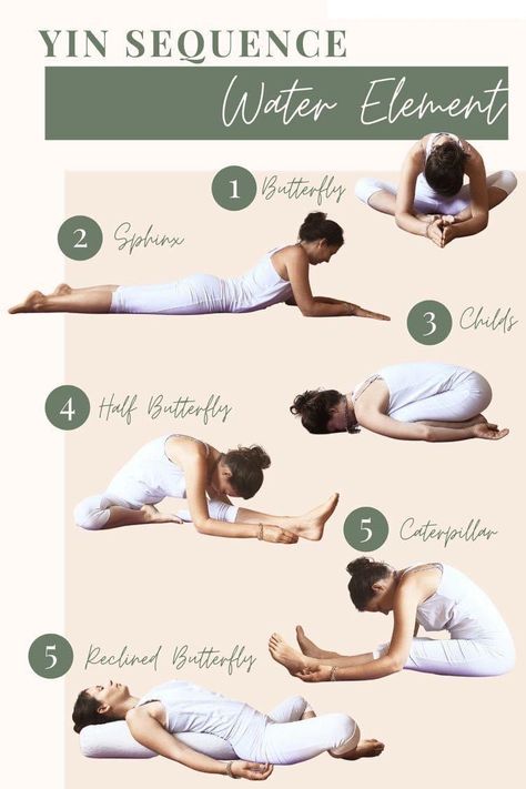 Yoga Bedtime, Yin Sequence, Hata Yoga, Life Cycle Of A Butterfly, Cycle Of A Butterfly, Yin Yoga Sequence, Yin Yoga Poses, Restorative Yoga Poses, Yoga Sequence