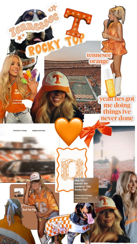 tennessee orange 🧡 Rocky Top Tennessee, Megan Moroney, Tennessee Orange, Cody Johnson, Cute Images For Wallpaper, Best Country Singers, Hoodie Diy, Rocky Top, Country Quotes