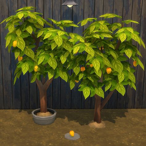 Sims 4 Fruit Harvestables | BrazenLotus Mods For Sims 4, Sims 4 Family, Sims 4 Bedroom, Custom Notebook, Casas The Sims 4, Seed Pack, Mango Tree, Tropical Tree, Sims 4 Build