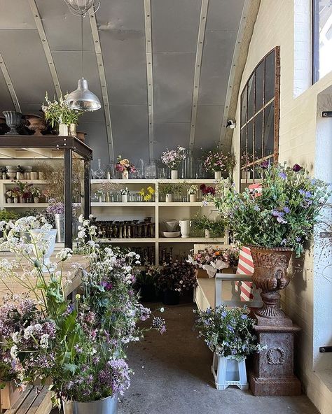 AESME STUDIO | ENGLAND (@aesmestudio) • Instagram photos and videos Aesme Studio, E Flowers, Studio Light, Garden Inspired, Light Summer, In The Studio, Summer Flowers, The Studio, England