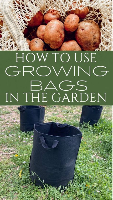 How To Plant Potatoes In Grow Bags, Grow Potatoes In A Bag, Vegetables Growing, Potato Gardening, Growing Sweet Potatoes, Growing Carrots, How To Garden, Potato Bag, Planting Potatoes