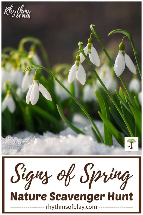 Signs Of Spring Preschool, Summer Rhythm, Spring Scavenger Hunt, Spring Writing Activity, Spring Kids Activities, Printable Scavenger Hunt, Spring Signs, Nature Scavenger Hunt, First Signs Of Spring