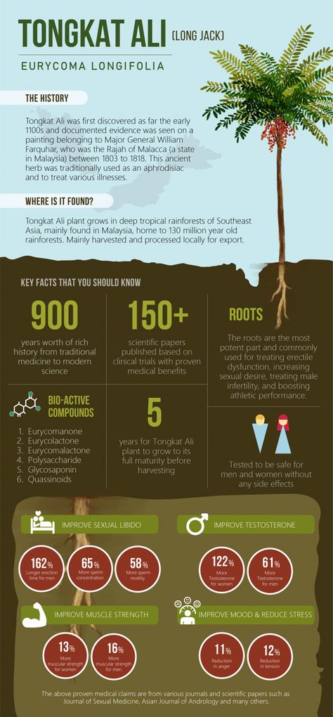 Infographic on Tongkat Ali, also known as Long Jack. A herb traditionally used for its potential impact on hormones such as testosterone as well as its potential aphrodisiac benefits. Tongkat Ali For Women, Herbs For Muscle Growth, Tongkat Ali Benefits For Men, Herbs For Sexuality, Tongkat Ali Benefits, Herbalist Witch, Learning Shelf, Deep Nutrition, Libido Boost For Men