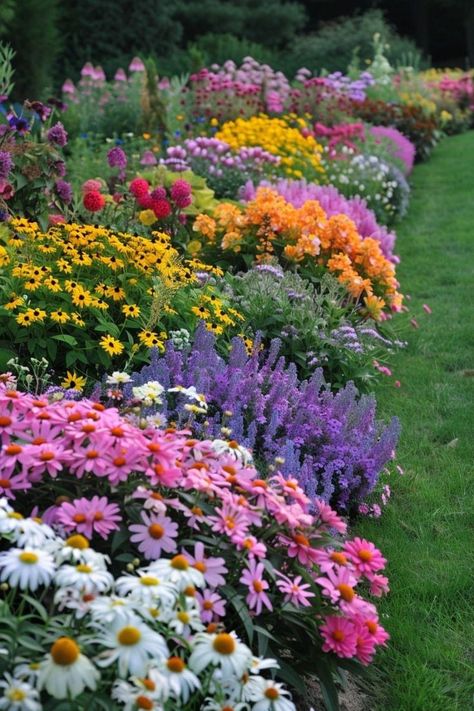 Wildflower Border Garden, Wildflower Garden Front Yard, Wildflower Landscaping, Whimsical Landscaping, Dream Landscaping, Home Flower Garden, Landscape Garden Ideas, Flower Garden Layouts, Flower Garden Plans