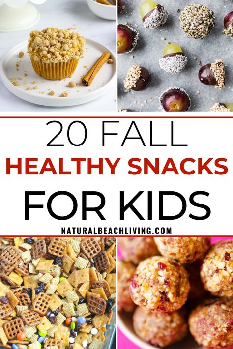 20  Healthy Fall Snacks for Kids - Natural Beach Living Healthy Fall Snacks For Kids, Fall Snacks For Kids, Healthy Pancake Mix, Healthy Fall Snacks, Gluten Free Pumpkin Bars, Fall Snack Mixes, Fall Muffins, Pumpkin Snack, Snacks Vegan