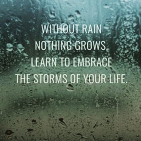 Raining Day Quotes, Love Rain Quotes, Rainy Day Quotes, Rain Quotes, I Love Rain, Hang In There, Quotes About Everything, Day Quotes, Good Morning Good Night