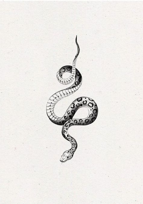 Simple Snake Tattoo Design, Snake Tattoo Stencil, Rattlesnake Tattoo, Small Snake Tattoo, Underarm Tattoo, Cobra Tattoo, Tattoo Snake, Serpent Tattoo, Snake Drawing