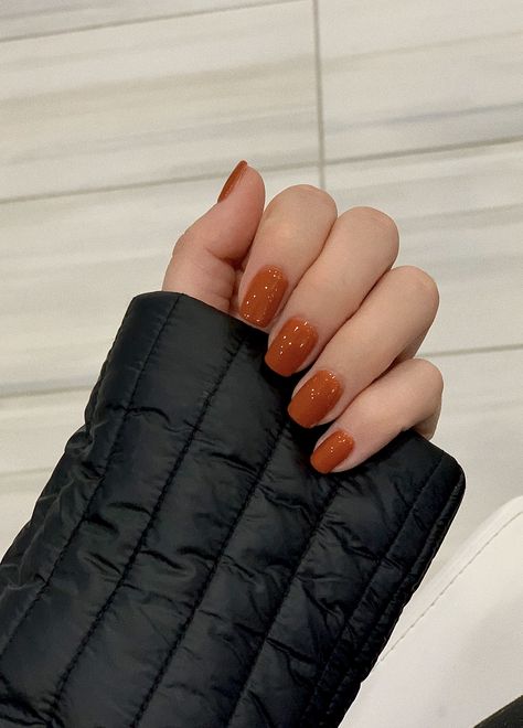 Rust Gel Nails, Burnt Orange Pedicure Toenails, Burnt Orange Dip Nails, Short Fall Nails Solid Color, Orange Gel Nails Fall, Solid Fall Color Nails, Orange Fall Nails 2022, Short Burnt Orange Nails, Burnt Orange Short Nails