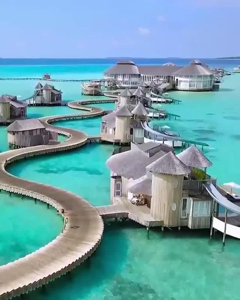 جزر المالديف, Pig Island, 7 Day Itinerary, Bahamas Travel, Bahamas Vacation, Dream Vacations Destinations, Dream Travel Destinations, Island Hopping, Beautiful Places In The World