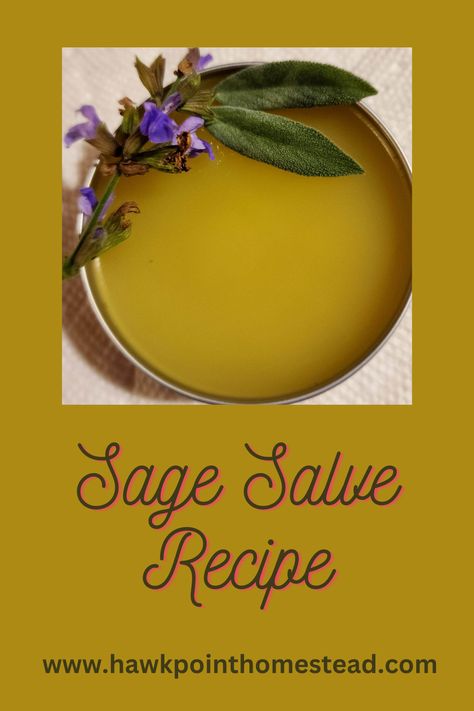 This recipe for how to make sage salve is an easy-to-make useful herbal salve. Making salves from herbs and other medicinal plants and weeds is a fun beneficial activity. This salve made from sage has many benefits. Sage Medicinal Recipes, Eggplant Salve Benefits, Sage Salve Recipe, Herbal Salves Recipes, Sage Oil Benefits, Sage Salve, Sage Tea Benefits, What To Do With Sage, Uses For Sage