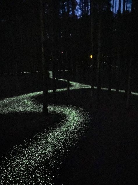 Magical Forest Pathway by BTG | Ambient Glow Technology Glow In The Dark Pathway, Forest Pathways, Glowing Forest, Light Pathway, Glowing Garden, Forest Pathway, Night Park, Trail Ideas, Light Forest