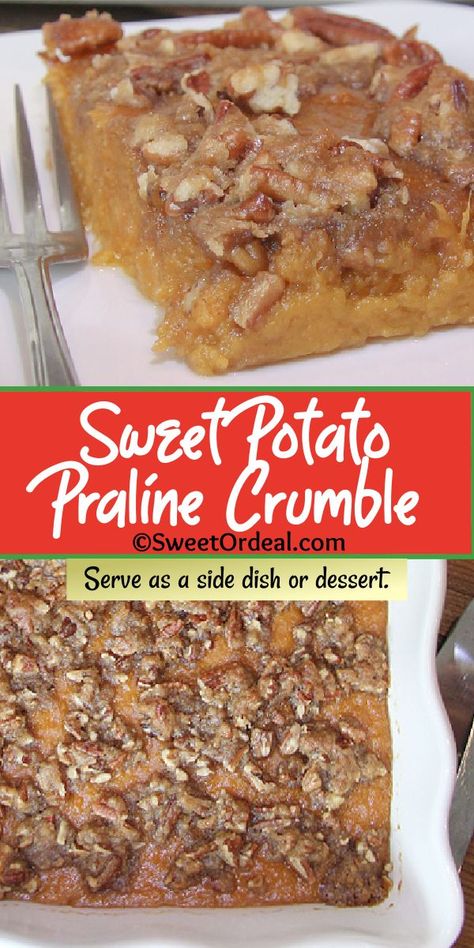 Serve as both a side dish and/or a dessert. This fantastic dish is smooth and creamy with crunchy pecans on top, delicious and oh so satisfying. Sweet Potato Pecan Casserole, Sweet Potato Toppings, Sweet Potato Side Dish, Sweet Potato Sides, Sweet Potato Dishes, Sweet Potato Pecan, Potato Side Dish, Canning Sweet Potatoes, Sweet Potato Slices