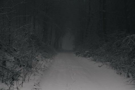 Dark Naturalism, I Love Snow, Liminal Space, Dark Paradise, Liminal Spaces, Winter Scenery, Six Feet Under, Winter Aesthetic, Nature Aesthetic