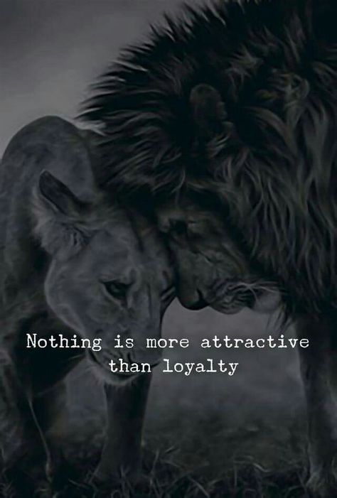 Be loyal Loyalty Quotes, Best Romance Novels, Lion Quotes, Bob Marley Quotes, Lion Love, Best Positive Quotes, Brother Quotes, Quotes Bible, Cute Quotes For Life