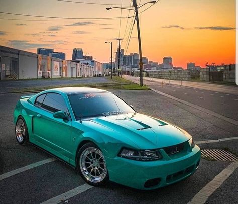 Newedge Mustang, 2003 Mustang, 04 Mustang, Sn95 Mustang, Ford Svt, Fox Body Mustang, Ford Mustang Cobra, Mustang Cobra, Ford Cars