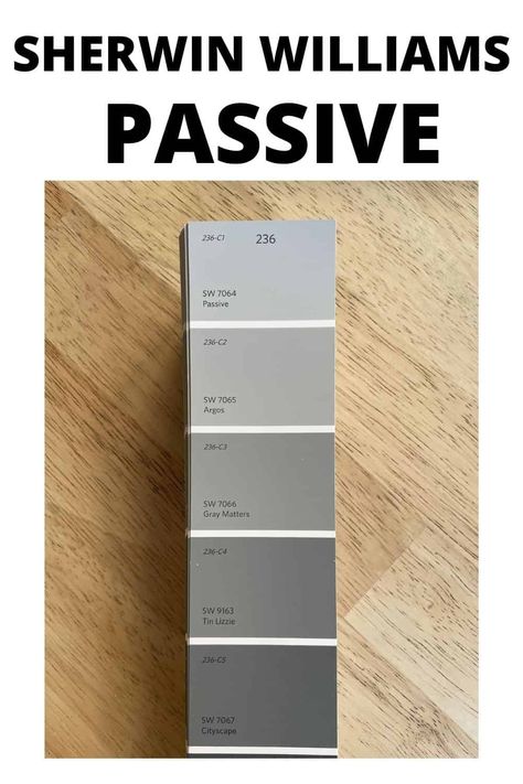 Sherwin Williams Passive is a cool-toned gray paint color. Learn all about what makes this shade of gray the perfect interior wall paint color. #gray #paintcolors #home #interiordesign Passive Gray Color Palette, Passive Grey Sherwin Williams, Passive Gray Sherwin Williams, Passive Gray, Passive Sherwin Williams, Gray Paint Colors Sherwin Williams, Neutral Gray Paint, Basement Paint, Wall Paint Color